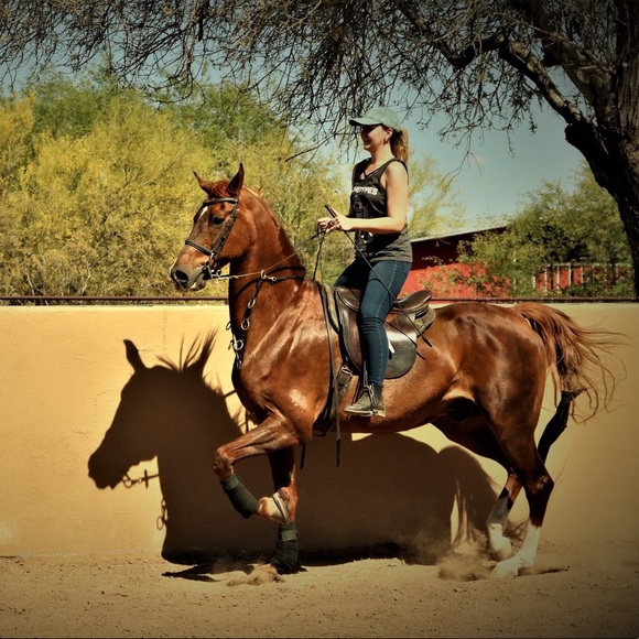 Meet your Posher, Brianna - Picture 6 of 7